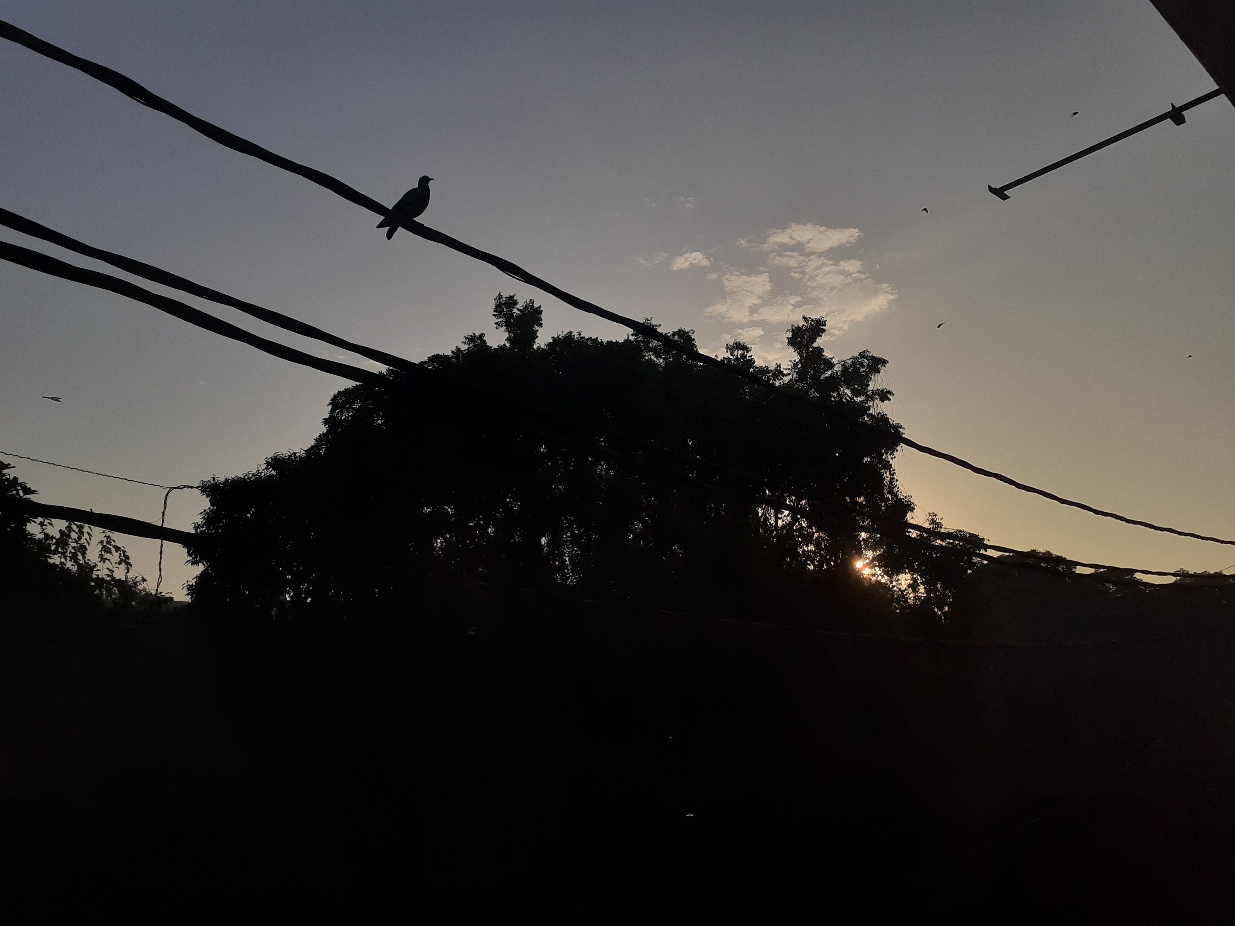 Early morning sky near hostel