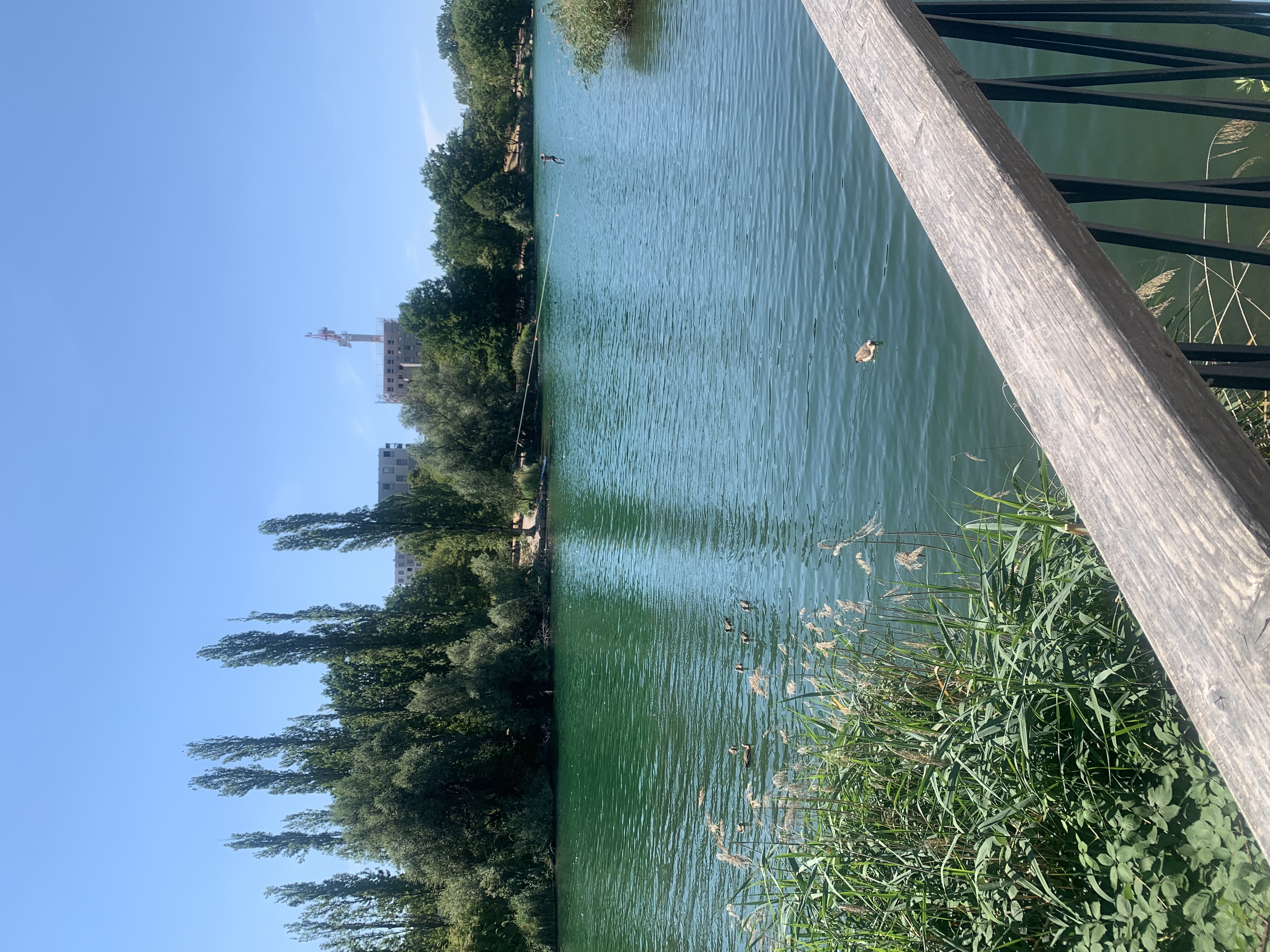Lake on the quieter side of Freiburg