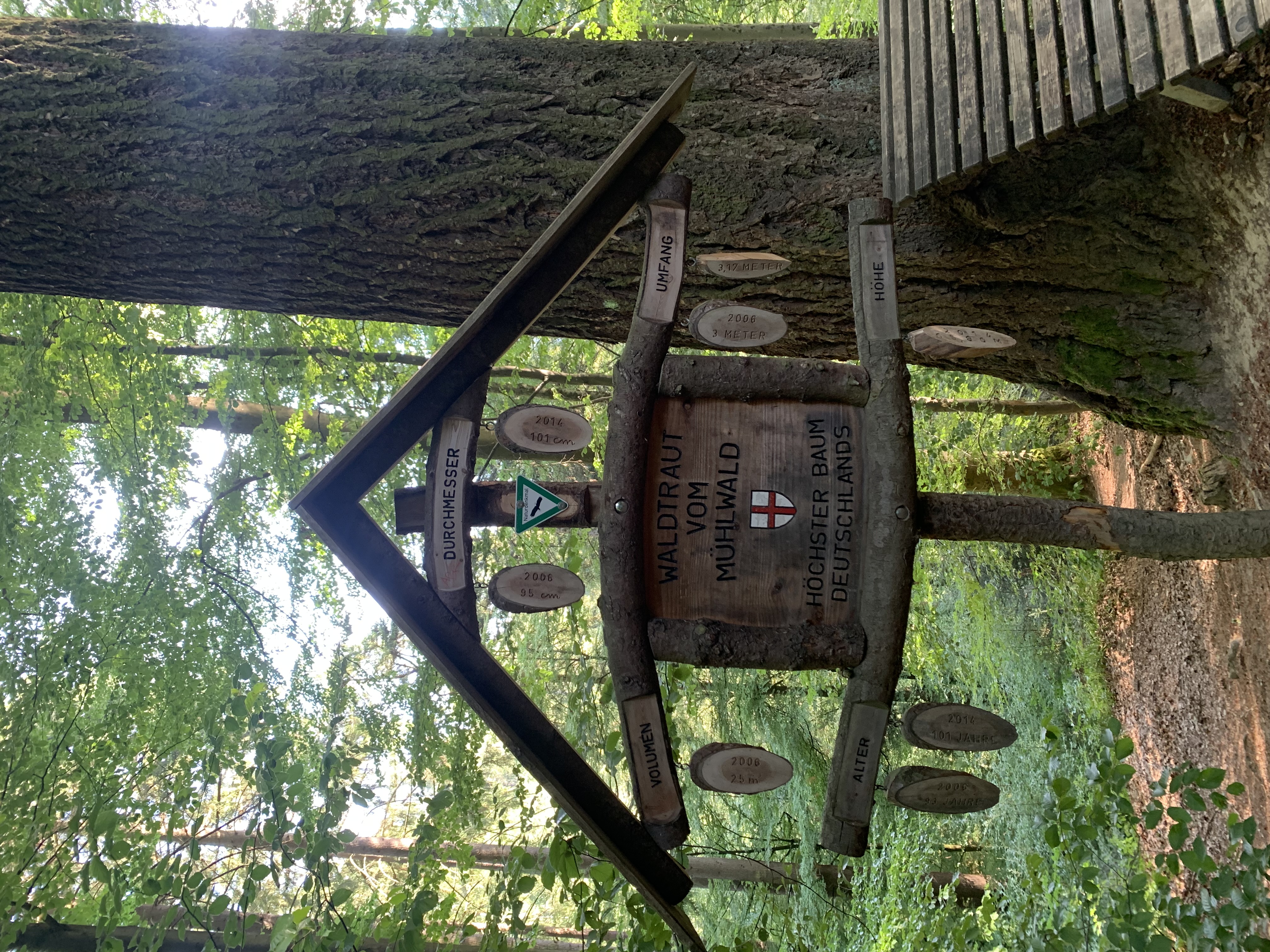 The tallest tree in Germany sign